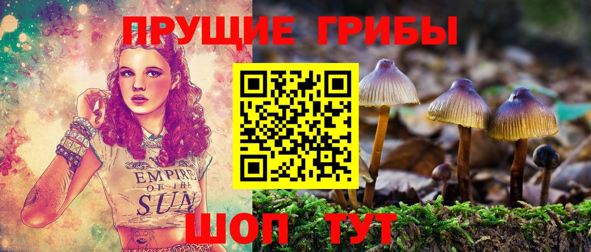 купить   Галлюциногенные грибы мицелий  Галлюциногенные грибы Psilocybe  Вход с VPN  Бузулук 